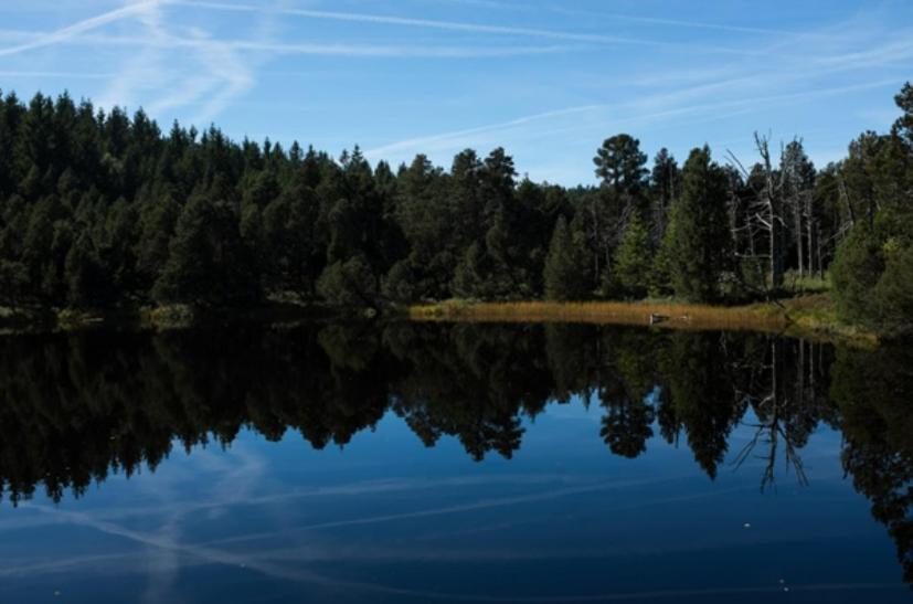 Living Timeless- Black Forest Style- Schoenwald Bagian luar foto