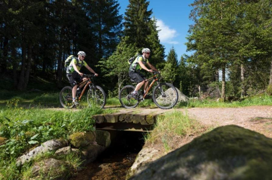 Living Timeless- Black Forest Style- Schoenwald Bagian luar foto
