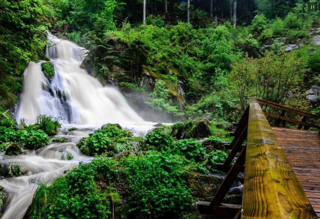 Living Timeless- Black Forest Style- Schoenwald Bagian luar foto